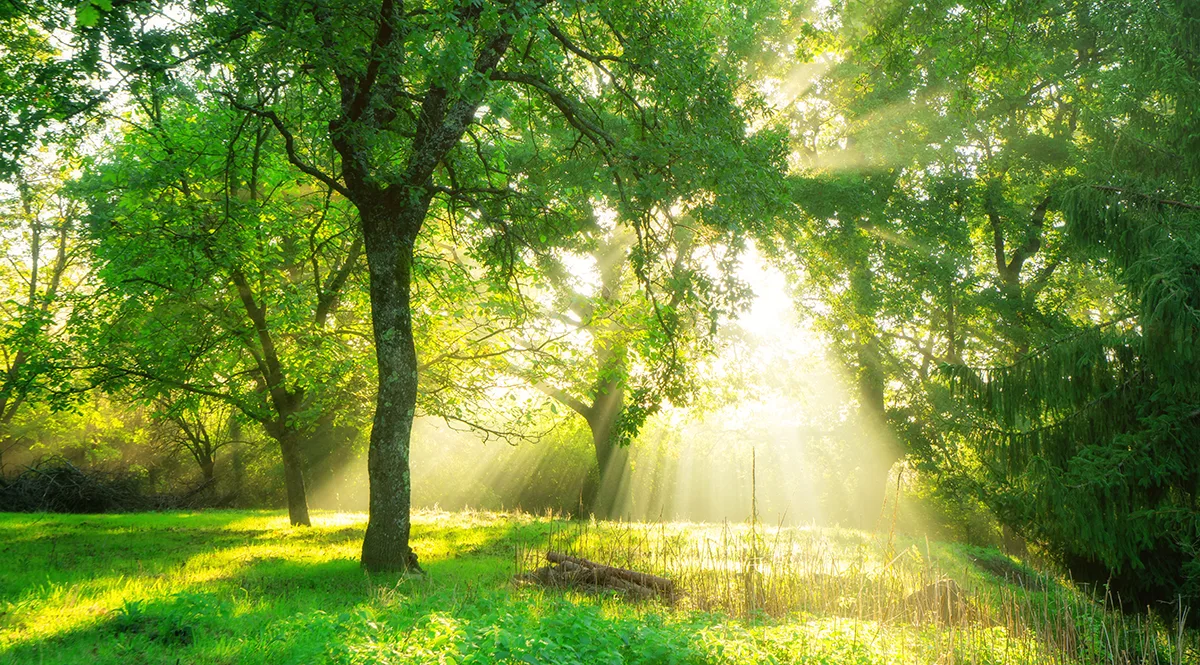 bright day